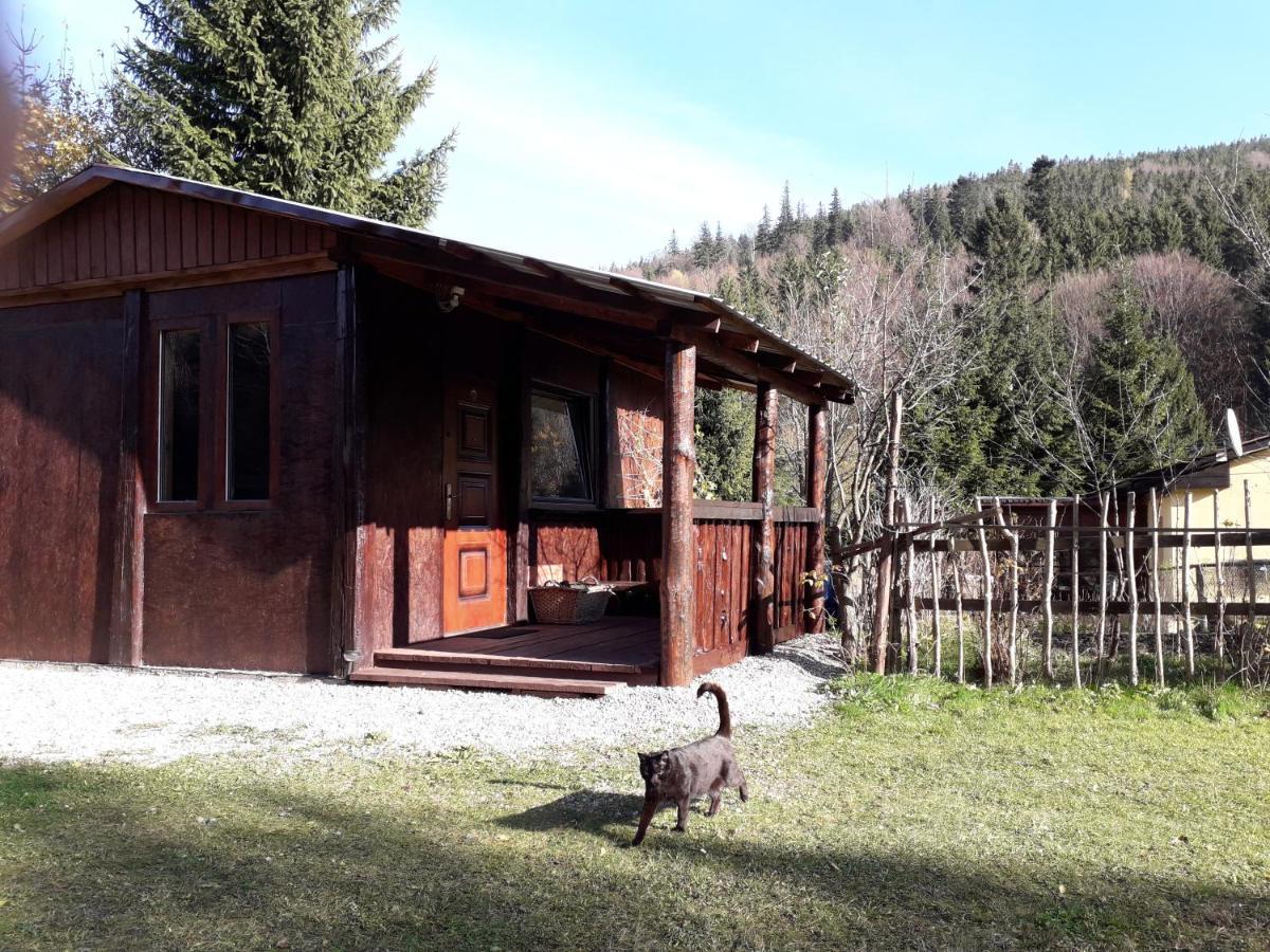 Zbojnicki Ostep-Nocleg Trapera Kletno Exteriör bild